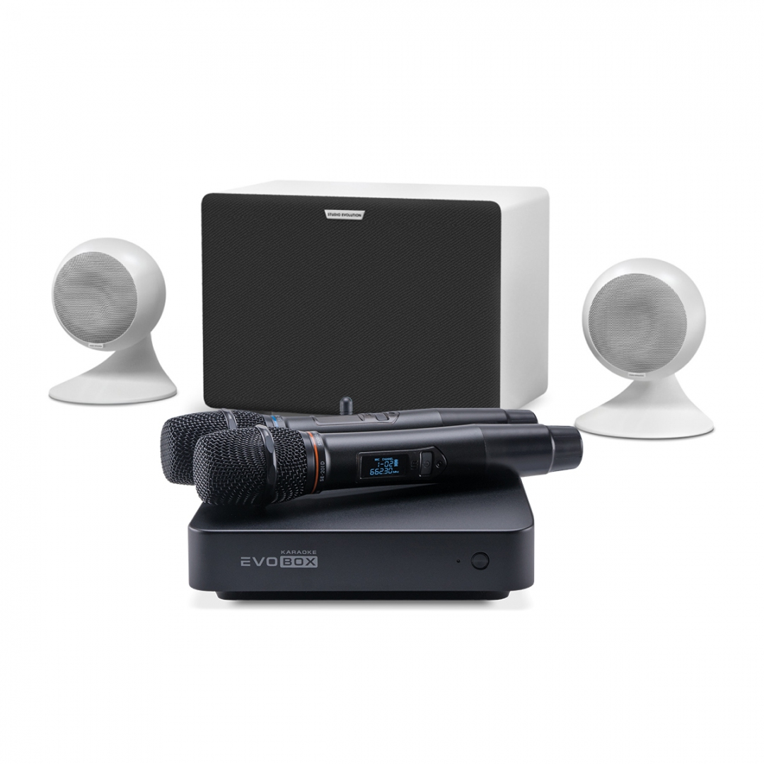 караоке-комплект EVOBOX Classic + EvoSound Sphere 2.1 в Месягутово