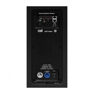 Активная акустическая система AST-310A в Месягутово