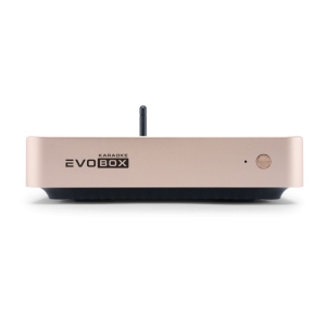 EVOBOX Classic караоке-система для дома в Месягутово
