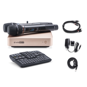 EVOBOX Classic караоке-система для дома в Месягутово