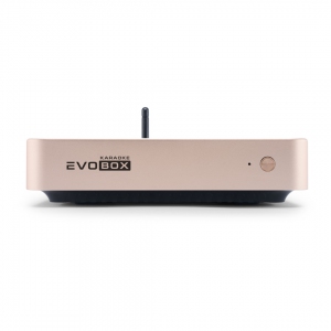 EVOBOX Plus караоке-система для дома в Месягутово