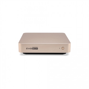 EVOBOX с микрофонами в Месягутово